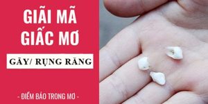 Giải mã chi tiết điềm báo nằm mơ thấy rụng răng với các cặp số liên quan